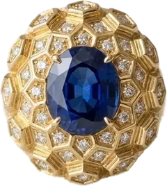 Parvin Ring