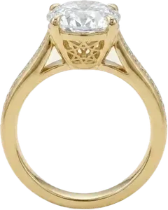 Setareh Mahtab Engagement Ring | Diamond Arch Solitaire