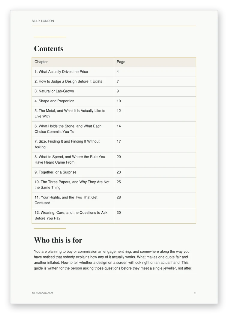 The contents page of the guide, listing twelve chapters with their page numbers